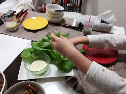 サラダ菜のちぎりサラダ (6)