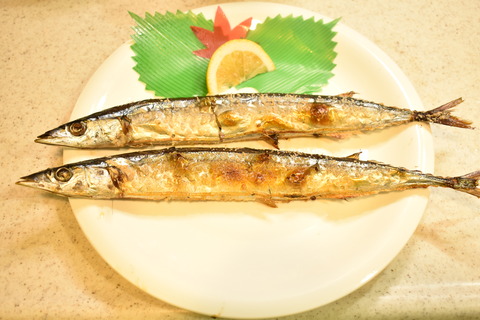 さんまの塩焼き (4)