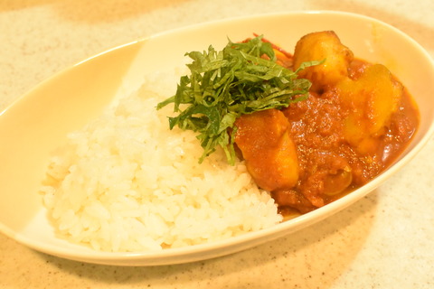 菊芋カレー (8)