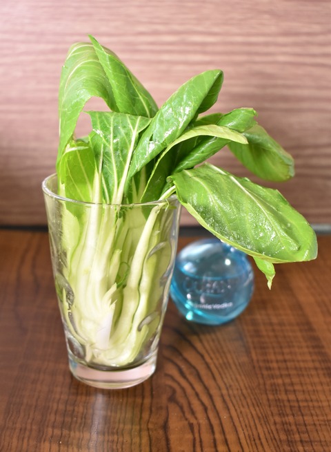 チンゲン菜のスティックサラダ (1)