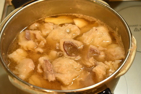 牛すじ肉のトロトロ煮 (8)