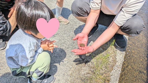 20250505_田植え (6)