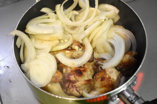鶏手羽元カレー (3)