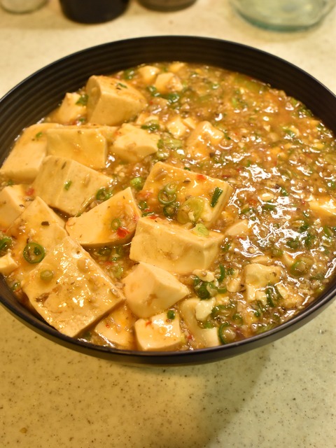 肉無し麻婆豆腐 (10)