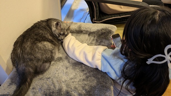 20260211_パーティー (15)