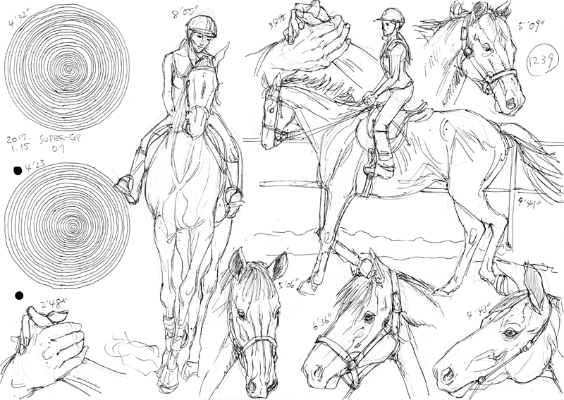馬写真ボールペンスケッチ 1239 お絵描き練習日記 馬写真ボールペンスケッチ 1239 お絵描き練習日記