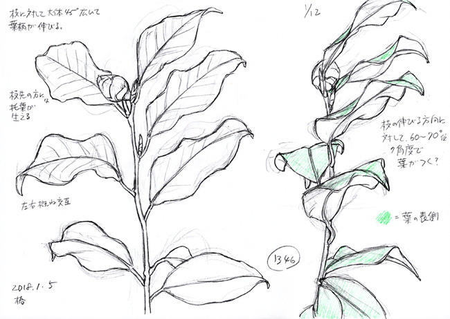 30秒ドロー 一発描き クロッキー お絵描き練習日記