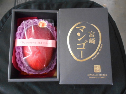 DSCN2002