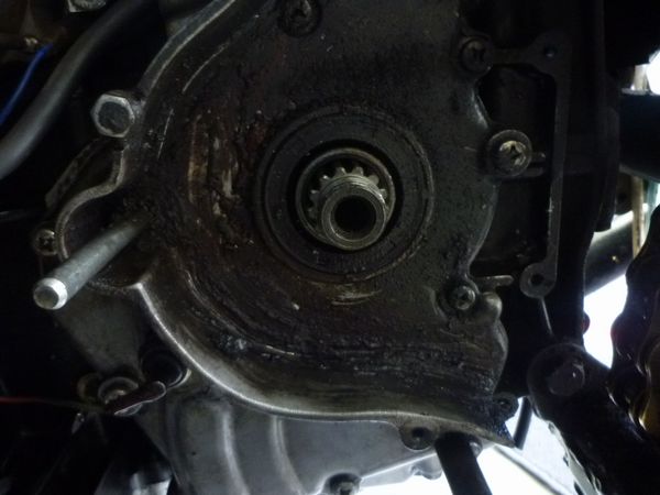 イメージ 8