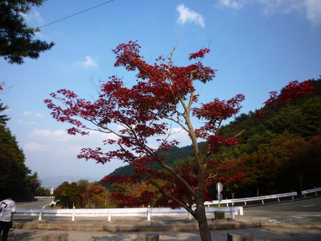イメージ 7