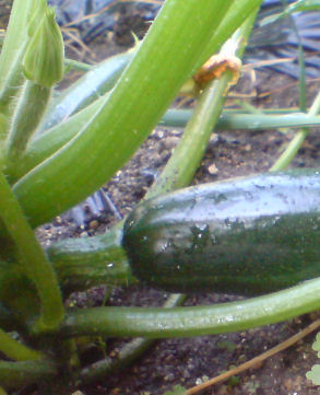 ���å�����1��