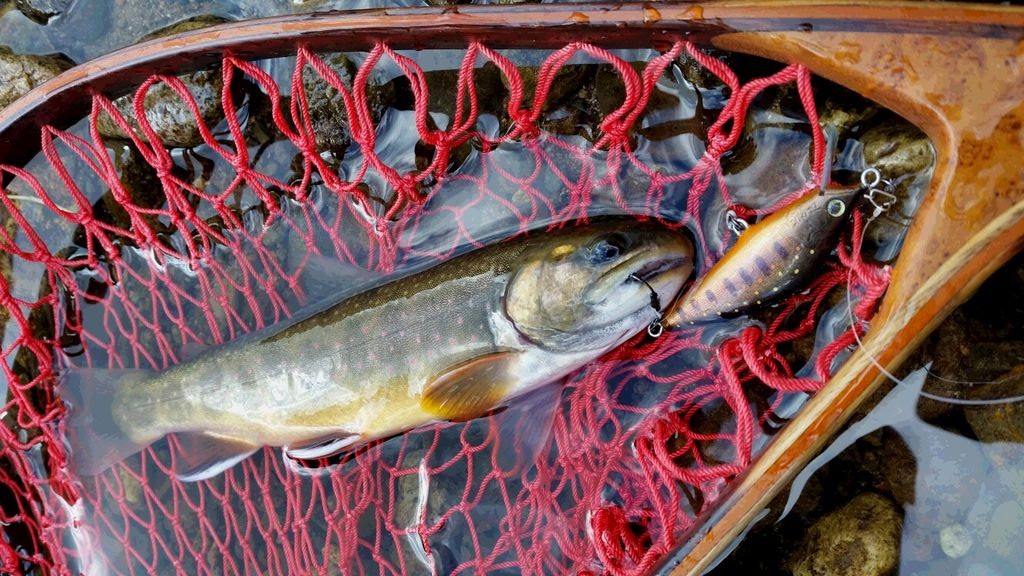 釣果報告 北海道 オショロコマ Blink Original Lures