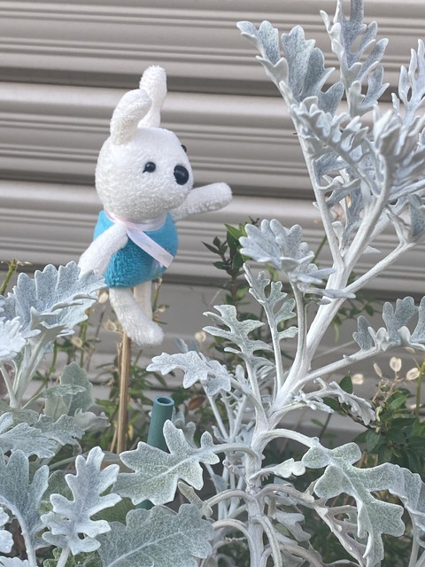 0CD315CD-88B7-4BD7-AD45-6ED4B4A43D83