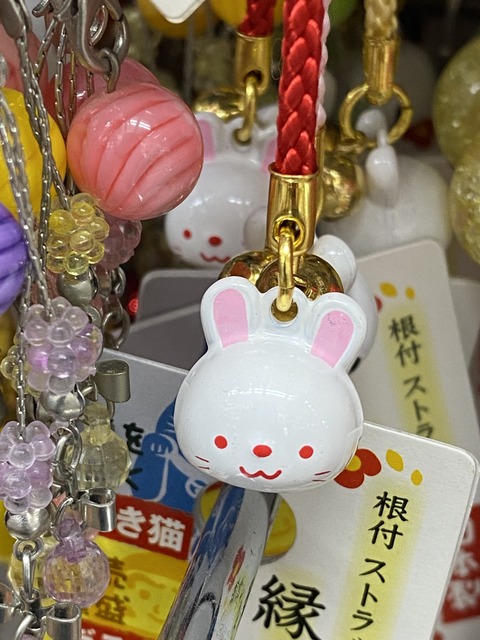 243DD869-840D-40D4-98DB-0F00E92A2A94