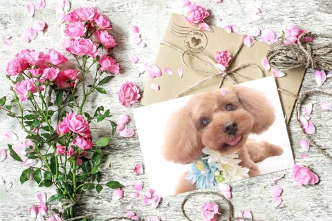 IMG_2866