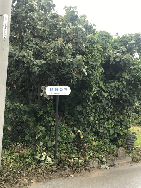 5CE9605D-8F98-43DB-B4A9-C0C7713CDBB9