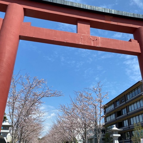 E722C02B-D4E5-42A6-A2F7-42DB3B7C234F