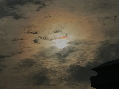 8540DF19-3AD7-4D97-9D79-A9052FA927B4