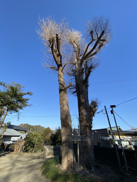 2670BB50-D915-463D-B31B-635086FAE0B3