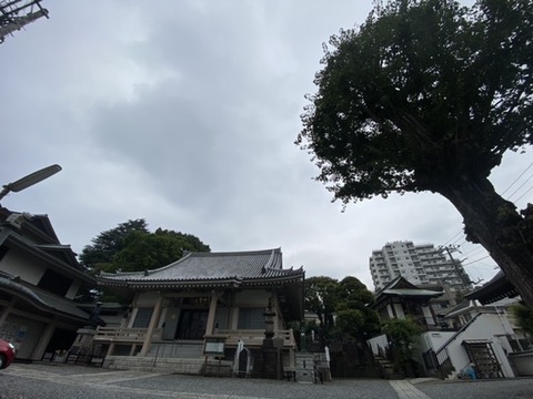 0A6D5263-52CA-4AB3-B142-9B833963126B