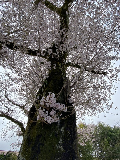 460F8CF8-18D1-44E1-A4EC-0D457010B4E6