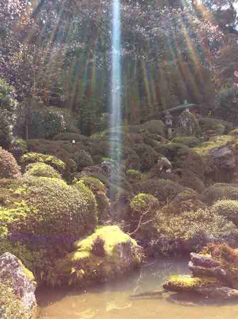 幸運を呼び込む不思議な写真 Gold Bliss Life By Dr Rika 幸運を呼び込む不思議な写真 Gold Bliss Life By Dr Rika