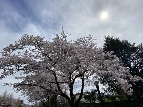 14C16D21-EB01-4B74-BA8D-6BD974B72F26