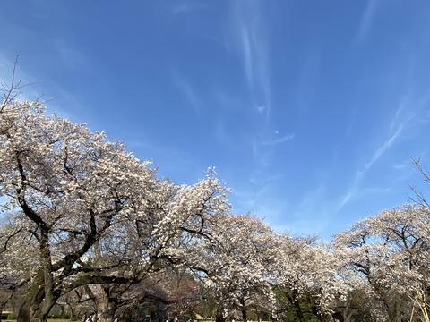 1FF80780-2317-45CA-B52B-A339E5049203