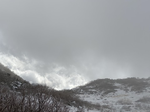 F987D62B-EE50-43B4-B1E0-15CA9924EB42