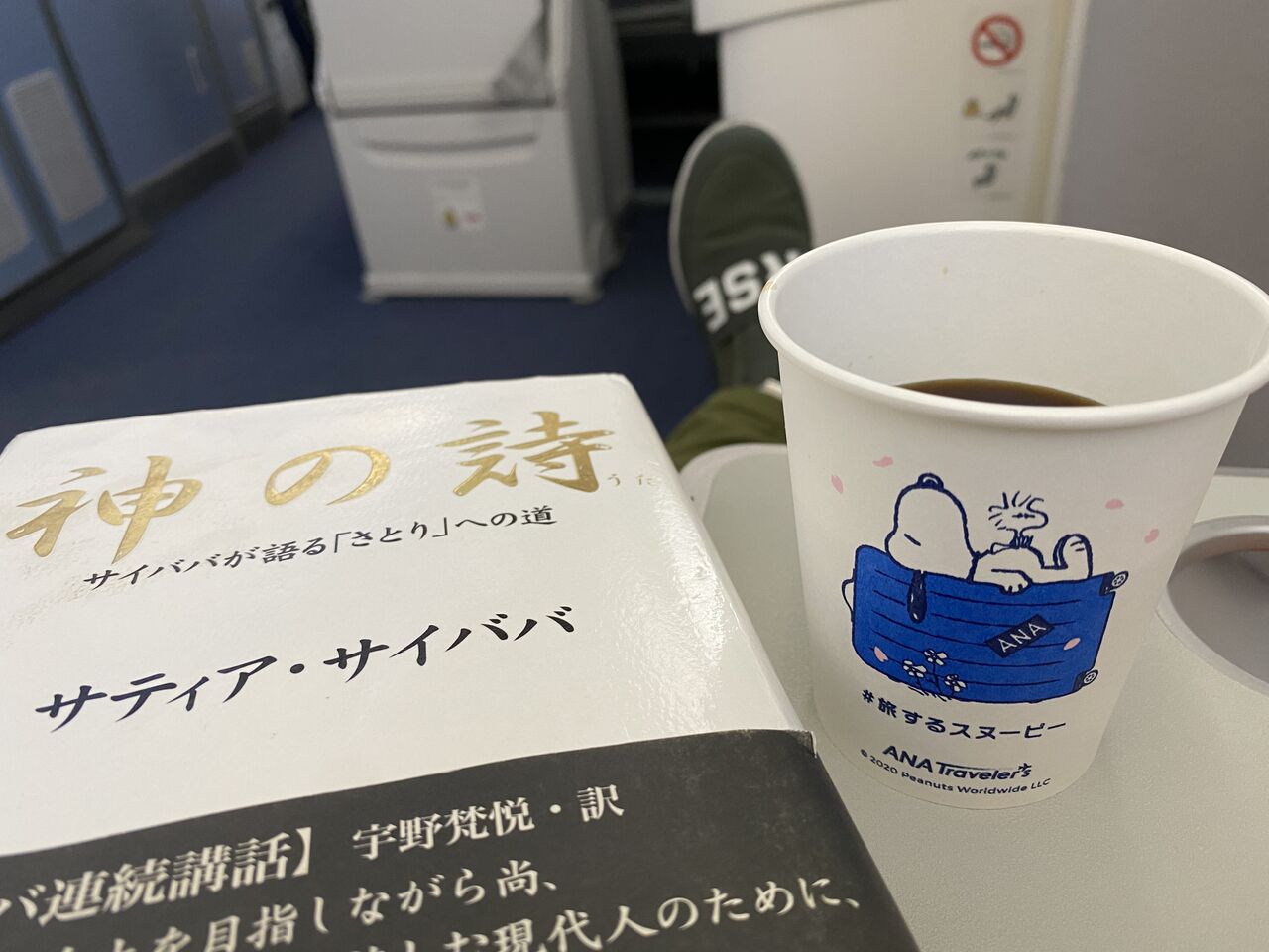 神の詩 : サイババが語る「さとり」への道