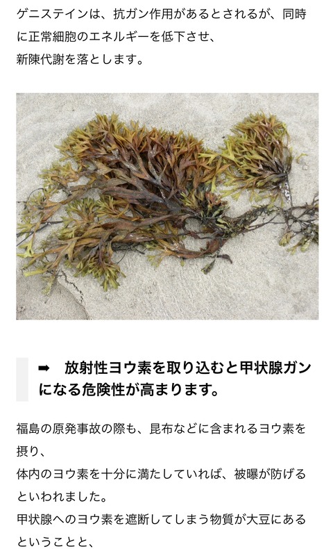 998FEF0F-7CEB-4883-96BE-5B9EA341B11B