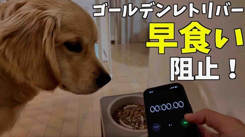 23F5B418-06AA-424B-8CDE-D897A7A4107E