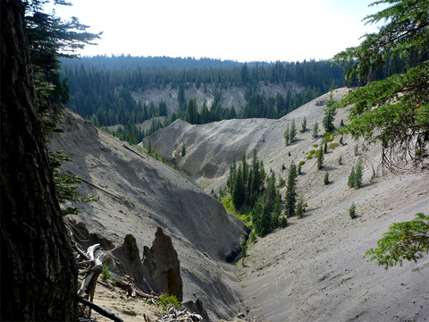 annie-creek-tributary