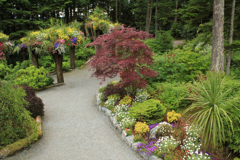 Cây lộn ngược, những chậu hoa tự nhiên trong khu vườn treo Alaska -&nbsp; Glacier Gardens