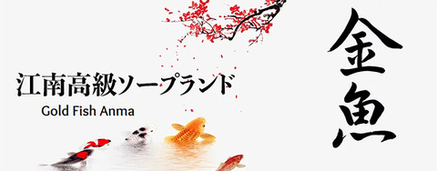 【韓国2泊3日第②弾】「DREAM ANMA(海外風俗/高級ソープ)」自由に攻めさせてくれるレアもの天然系韓国嬢の巻! byマカエモン