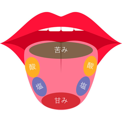 味覚