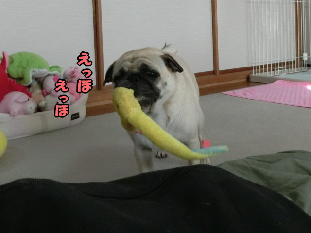 しょぼくれる