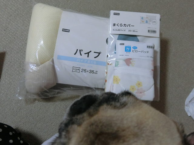 夏に快適なひんやり枕を買った はなパグ 夏に快適なひんやり枕を買った はなパグ