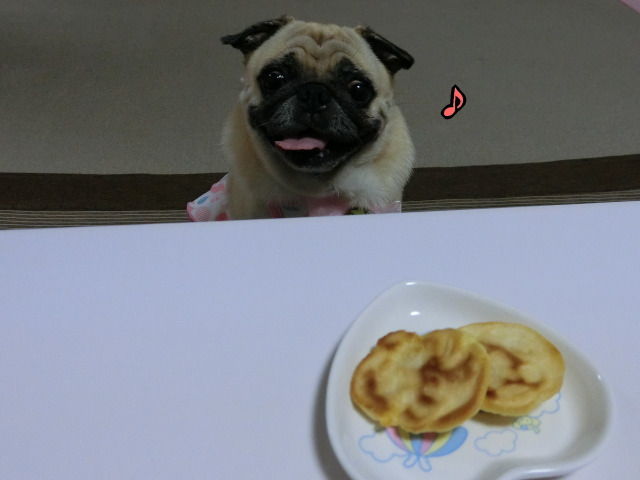 ホットケーキギョロギョロ はなパグ