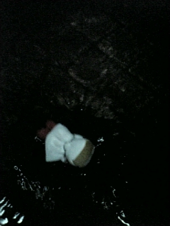 �ˤ�����²��Ƿ�ޤä����ޤǹԤ�