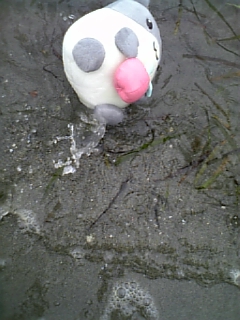 �ˤ�����²��Ƿ�ޤä����ޤǹԤ�