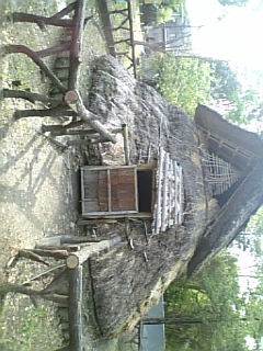 �ˤ�����²��Ƿ�ޤä����ޤǹԤ�