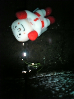 �ˤ�����²��Ƿ�ޤä����ޤǹԤ�