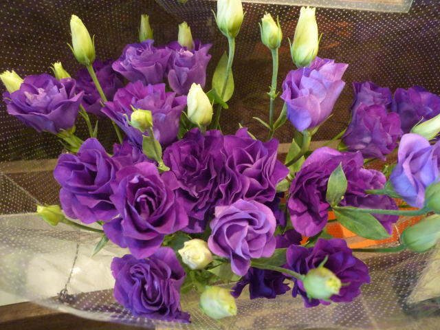 紫の八重咲きトルコキキョウ 花輝ブログ