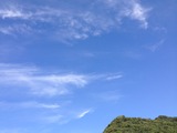 空8