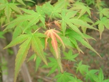 2f354b13.jpg