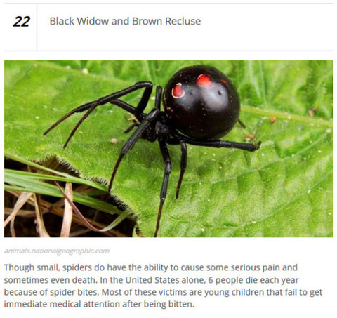 animals_who_are_known_for_causing_human_deaths_640_04
