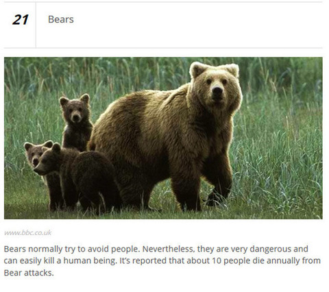 animals_who_are_known_for_causing_human_deaths_640_05