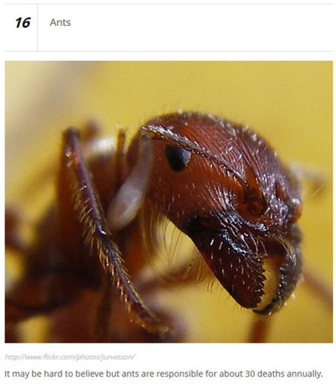 animals_who_are_known_for_causing_human_deaths_640_10