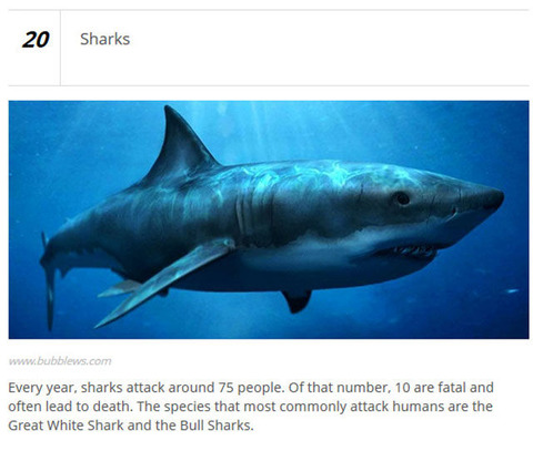animals_who_are_known_for_causing_human_deaths_640_06